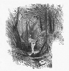 Ein Zufluss zum See, 1883