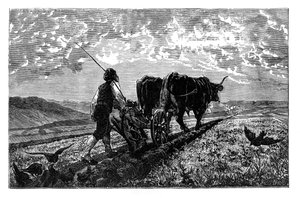 Ein französischer Landwirt, ca. 1890