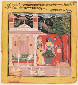 Eine Dame pflückt Blumen mit Pfauen, Gunakali Ragini von Malkos, aus dem Chawand Ragamala, 1605 von Unbekannt