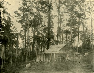 Eine rustikale Behausung, 1901