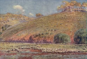Eine Schafweide, 1923 von Unbekannt