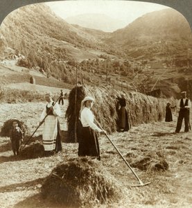Eine Bauernfamilie macht Heu auf einem sonnigen Feld zwischen den Bergen, Røldal, Norwegen, um 1905 von Unbekannt