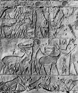 Eine Jagdszene aus dem Grab des Ptahhotep, nahe Saqqara, Ägypten, um 2650 v. Chr., 1936 von Unbekannt