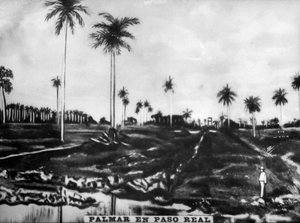 Aktion von PasoReal, 1896, 1920er Jahre