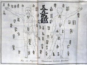 Akupunktur: Karte des menschlichen Körpers mit den Moxibustionspunkten, Japan (Karte zur Moxa, ca. 1690)