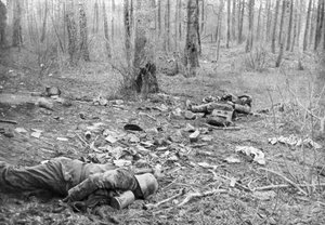 Nachwirkungen der Kämpfe im Park von Plessis-de-Roye, Picardie, Frankreich, 30. März 1918