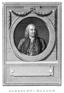 Albrecht von Haller, Schweizer Arzt und Wissenschaftler, um 1770 von Unbekannt