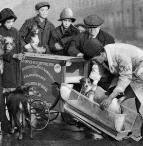 Krankenwagen der Ambulanz für kranke Tiere der Armen, London, 1926-1927
