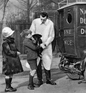 Ambulanz der National Canine Defence League, London, 1926-1927
