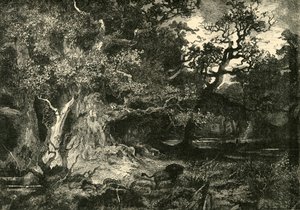 Ein alter deutscher Wald, 1890 von Unbekannt