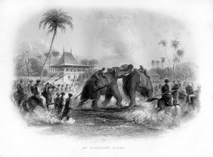 Ein Elefantenkampf, Indien, 19. Jahrhundert