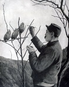 Eine originale Schützengrabendekoration, Frankreich, Erster Weltkrieg, 1915 von Unbekannt