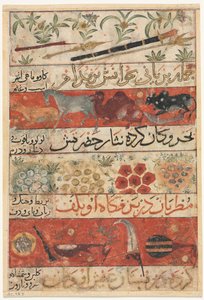 Tiere, Edelsteine, Münzen und Musikinstrumente recto, Tiere, Vögel und Pflanzen verso