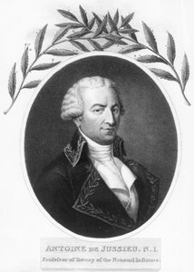 Antoine de Jussieu, französischer Botaniker des 18. Jahrhunderts, 1807