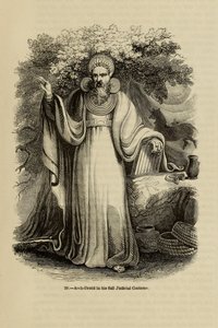 Erz-Druide in seiner vollen richterlichen Tracht aus dem Buch Old England: A Pictorial Museum, 1845 von Unbekannt