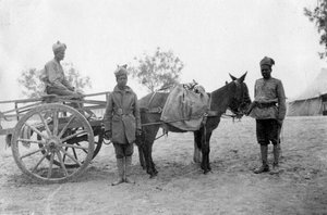 Armeedienstkorps, Howshera, 1917