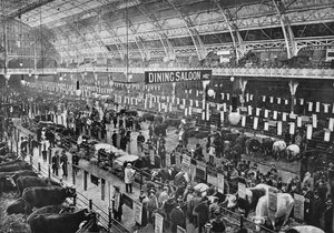 Auf der Smithfield Club Viehschau, Agricultural Hall, Islington, London, 1902-1903 von Unbekannt