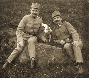 Österreichische Soldaten mit einem Hund von Unbekannt
