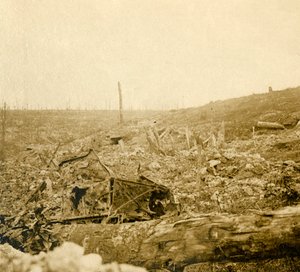 Schlachtfeld, Bezonvaux, Verdun, Nordfrankreich, ca. 1914-ca. 1918