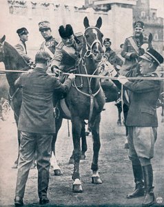 Benito Mussolini, italienischer faschistischer Führer, ca. 1922-1933