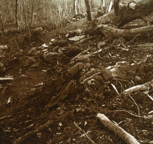 Leichen, Les Éparges, Nordfrankreich, 1915