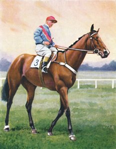 Buchhändler, Jockey: G. Richards, 1939
