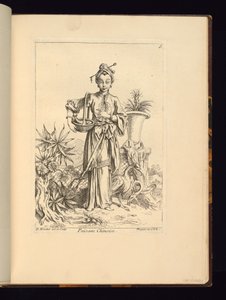 Chinesischer Botaniker von Unbekannt