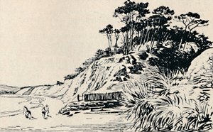 Branksome Chine