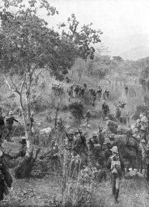 Britische Truppen im Busch an der Grenze zu Deutsch-Ostafrika, Erster Weltkrieg, 1915