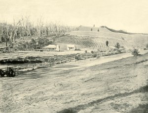 Bush-Arbeiterheim, Gippsland, Victoria, 1901