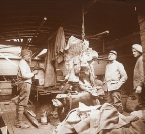 Metzger auf einem Lastkahn, Somme, Nordfrankreich, ca. 1914-1918 von Unbekannt