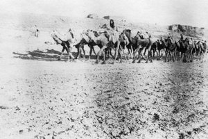 Kamelkarawane, Mosul, Mesopotamien, 1918