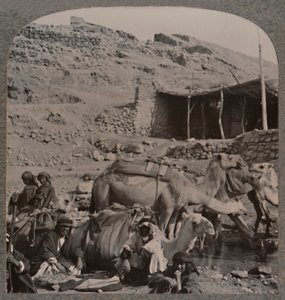 Kamelkarawane aus Jerash, Wasserstelle am Brunnen von Elisha, um 1900 von Unbekannt
