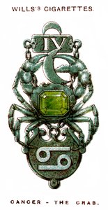 Krebs, die Krabbe, 1923 von Unbekannt