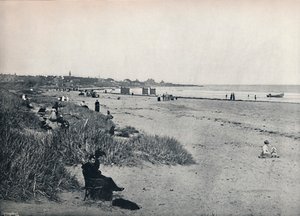 Carnousetie - Die Stadt und der Strand, 1895