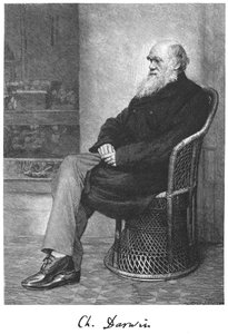 Charles Darwin, englischer Naturforscher, 1883 von Unbekannt