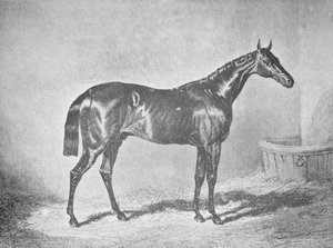 Charles XII, Gewinner des St. Leger 1839 von Unbekannt