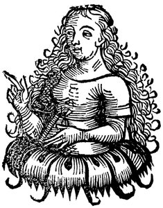 Kimmerische Sibylle, 1493 von Unbekannt