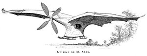 Clement Aders fliegender Vogel Eole, das erste bemannte Flugzeug, das aus eigener Kraft abhob, 1890 von Unbekannt