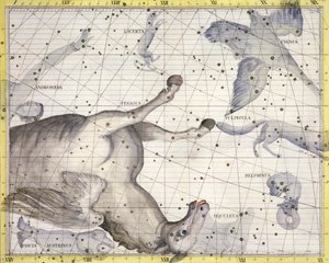 Sternbild Pegasus, 1729 von Unbekannt
