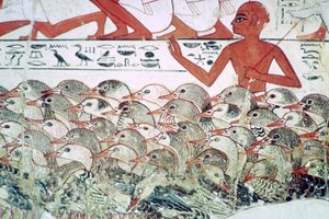 Gänse zählen: Fragment einer Wandmalerei aus dem Grab von Nebamun, Theben, Ägypten, ca. 1350 v. Chr. von Unbekannt