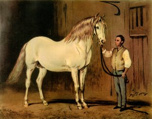 Cream State Kutschpferd des Gestüts von Königin Victoria
