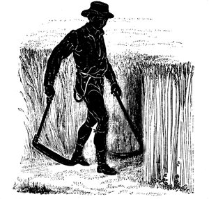Fruchtfolge: Ernten mit einer Hainault-Sense, 1855