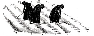 Fruchtfolge: Frauen beim Ausdünnen von Rüben, 1855
