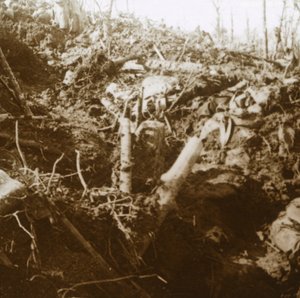 Zerstörter Unterstand, Les Éparges, Nordfrankreich, 1915