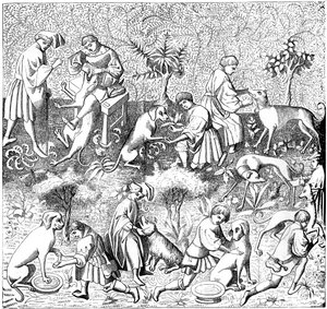 Krankheiten von Hunden und ihre Heilungen, 14. Jahrhundert, 1849 von Unbekannt