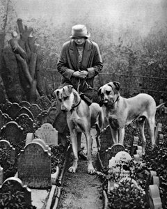 Hundefriedhof, Victoria Gate, Bayswater, London, 1926-1927