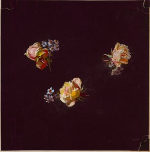 Zeichnung, aus Saint Germain - Bände 1 & 2