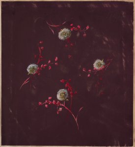 Zeichnung, aus Saint Germain - Bände 1 & 2, ca. 1896 von Unbekannt