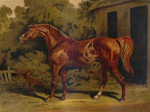 Eklipse, ca. 1879